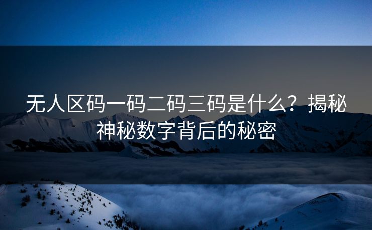 无人区码一码二码三码是什么？揭秘神秘数字背后的秘密