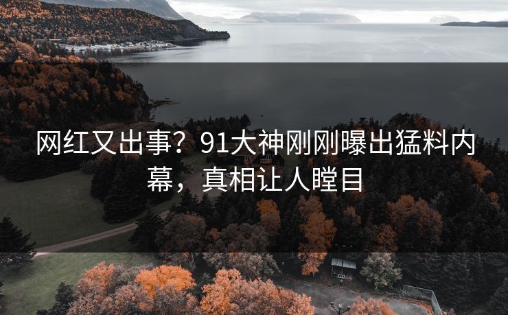网红又出事?91大神刚刚曝出猛料内幕,真相让人瞠目