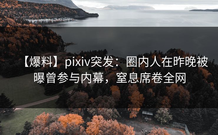 【爆料】pixiv突发：圈内人在昨晚被曝曾参与内幕，窒息席卷全网
