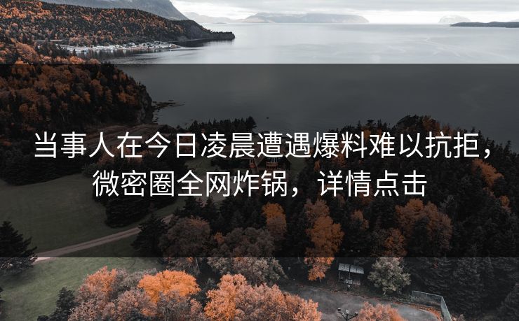 当事人在今日凌晨遭遇爆料难以抗拒，微密圈全网炸锅，详情点击