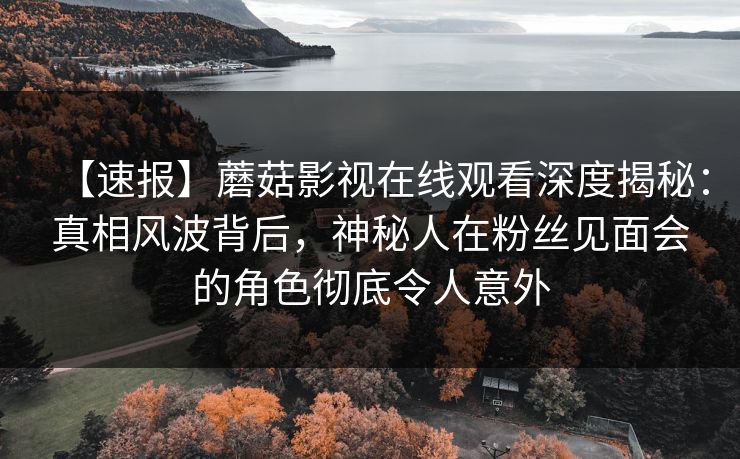 【速报】蘑菇影视在线观看深度揭秘：真相风波背后，神秘人在粉丝见面会的角色彻底令人意外